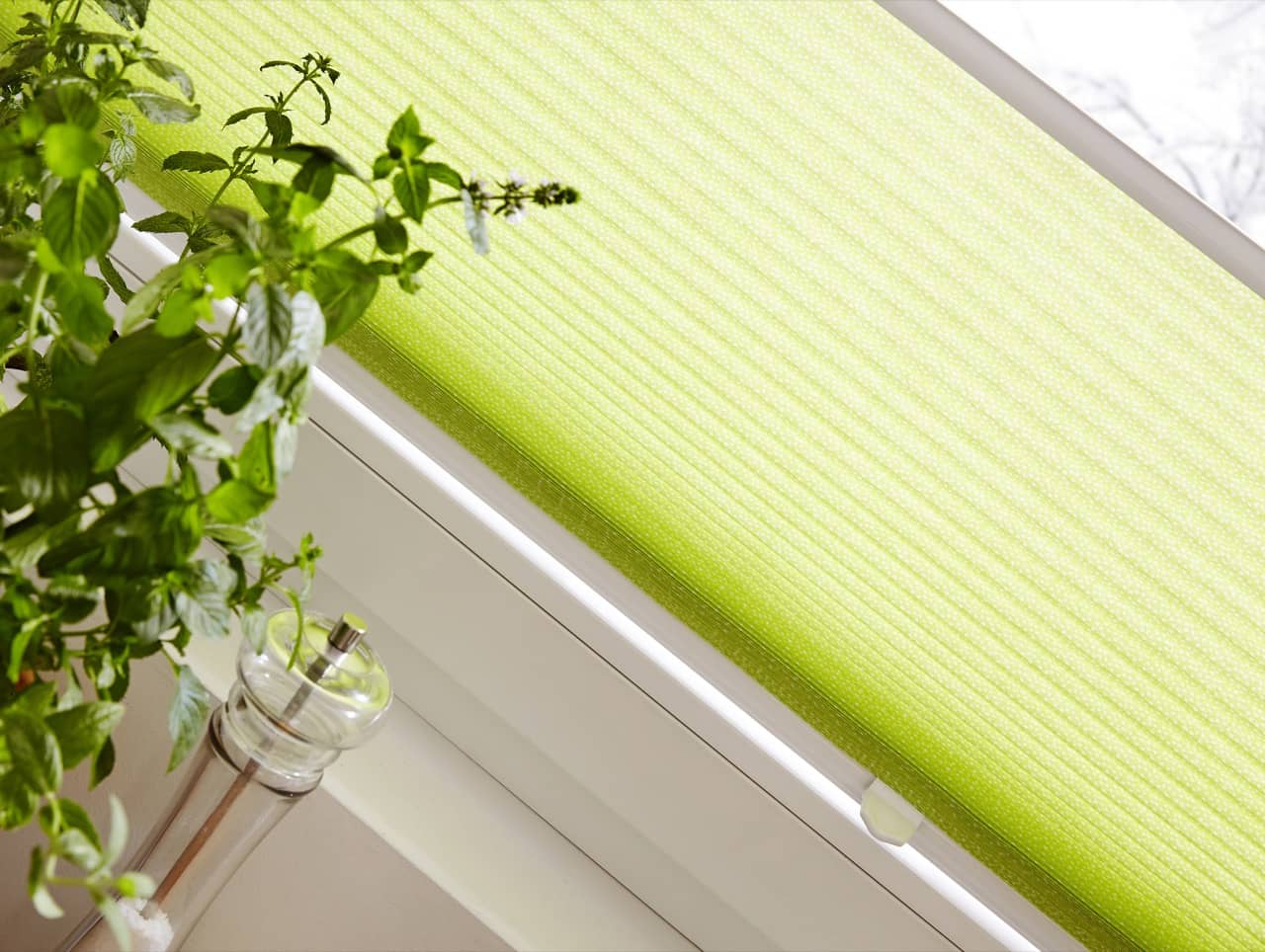 Wabenplissee aus Köln